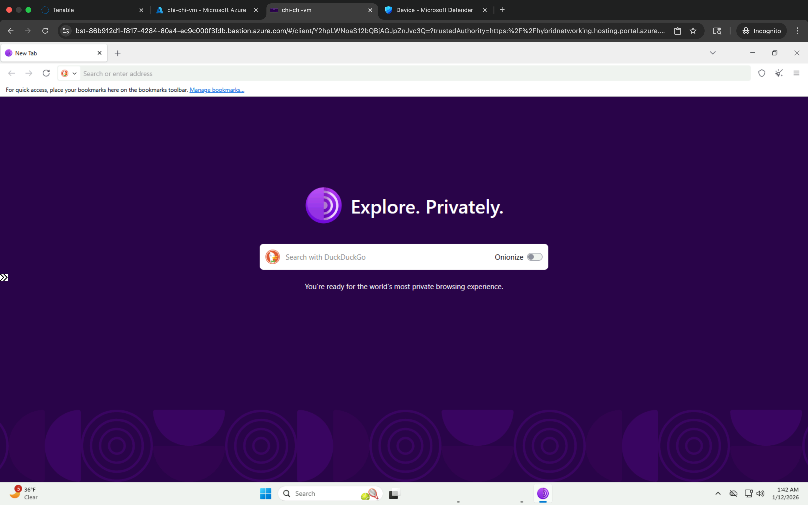 TOR browser launched